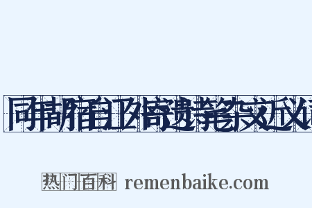同年胡宿自江外寄遗诗笔杂文近义词是什么意思的图片